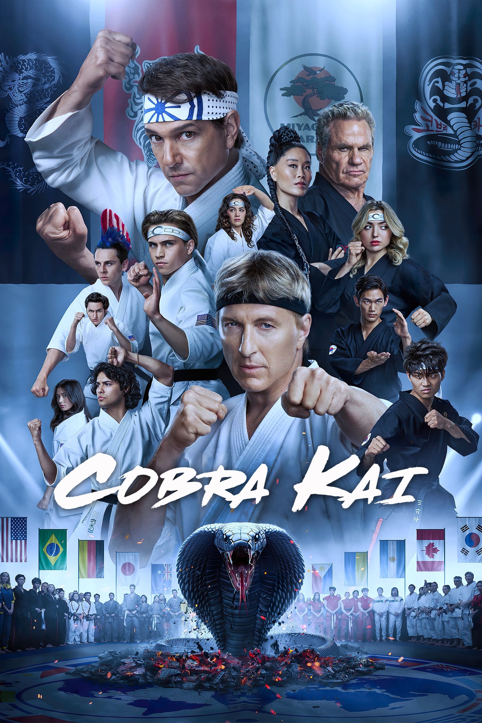 Immagine Poster serie TV 18 Cobra Kai