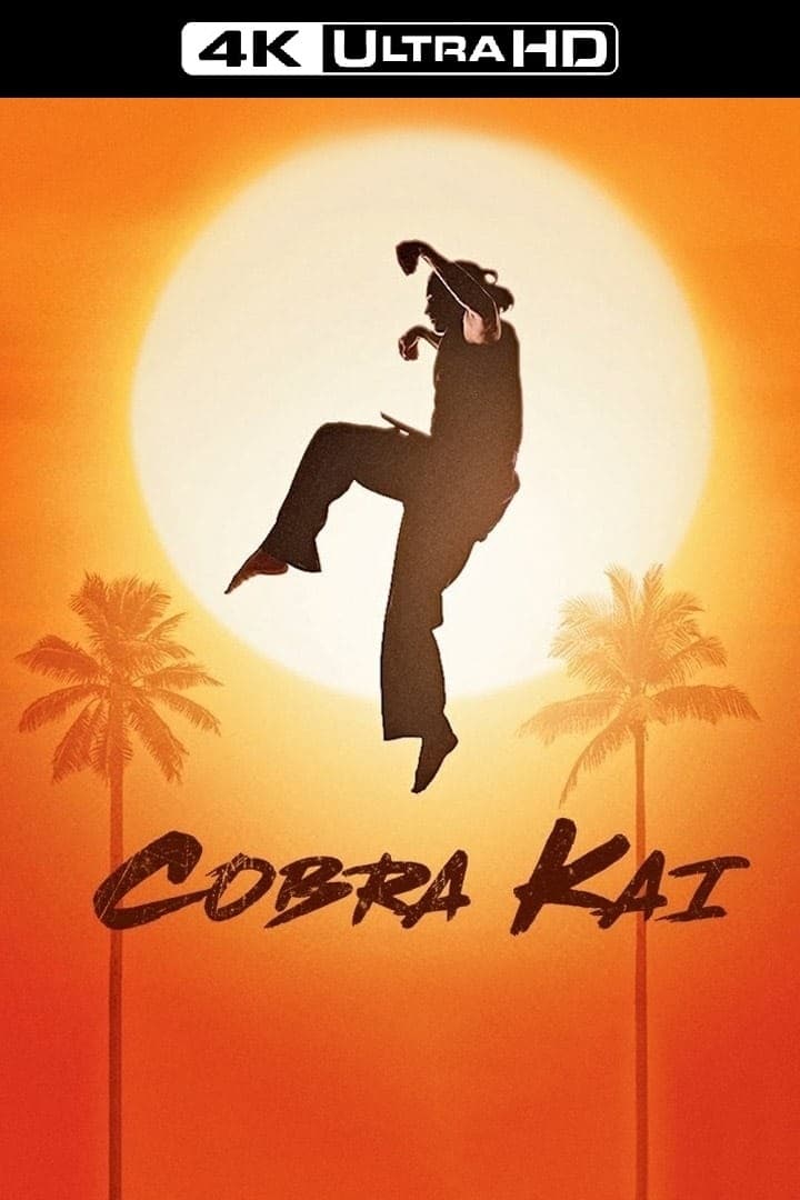 Immagine Poster serie TV 31 Cobra Kai