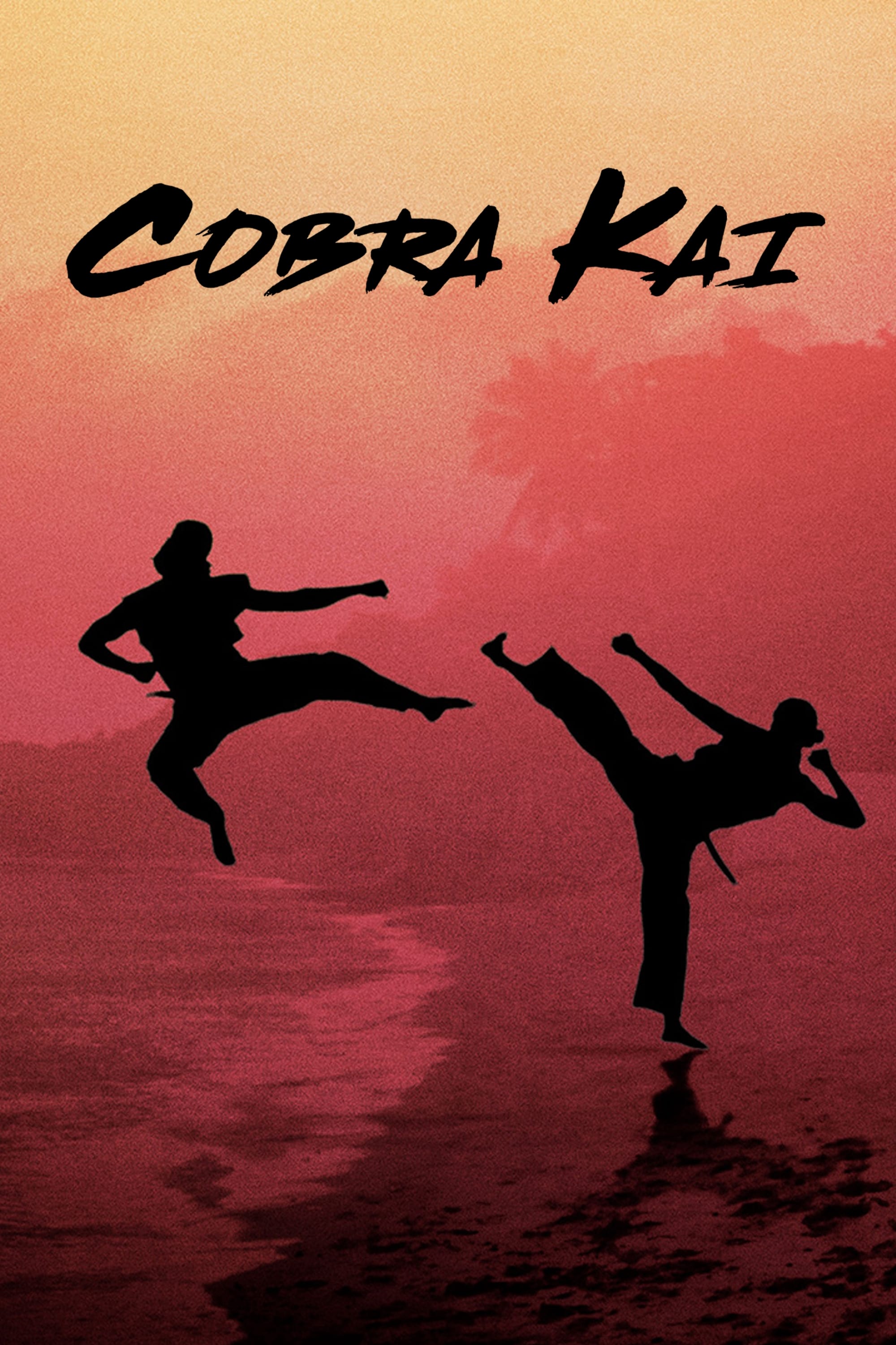 Immagine Poster serie TV 23 Cobra Kai