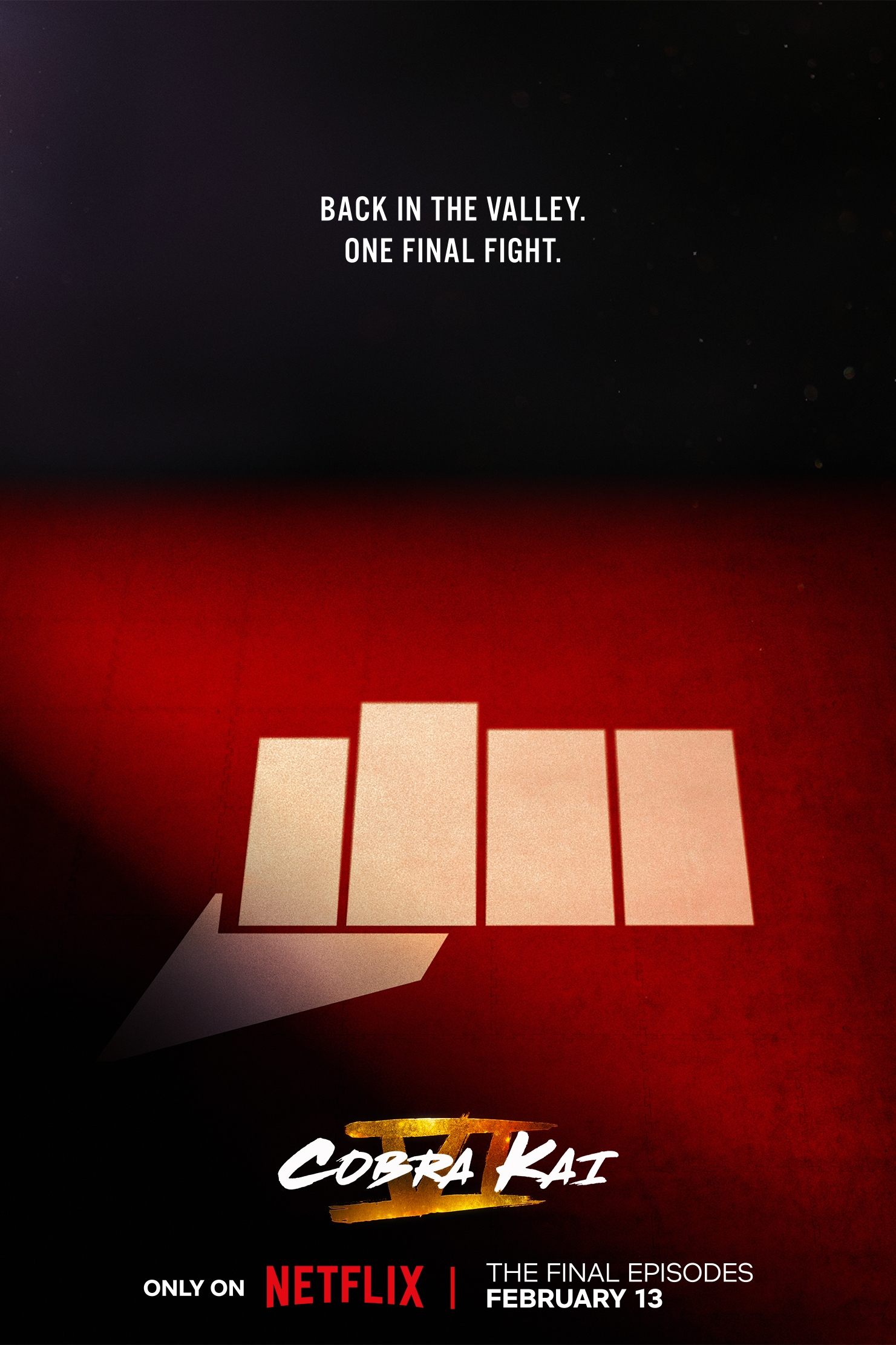 Immagine Poster serie TV 16 Cobra Kai