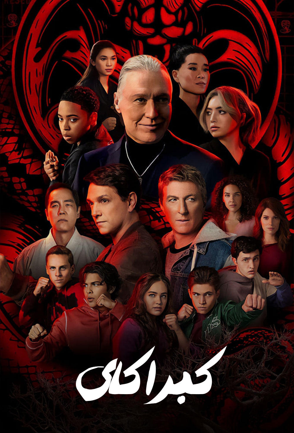 Immagine Poster serie TV 72 Cobra Kai