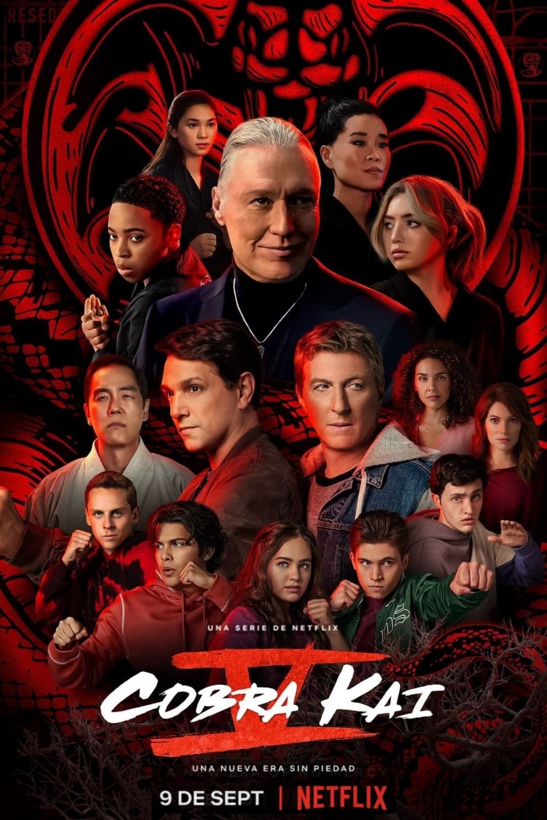 Immagine Poster serie TV 22 Cobra Kai