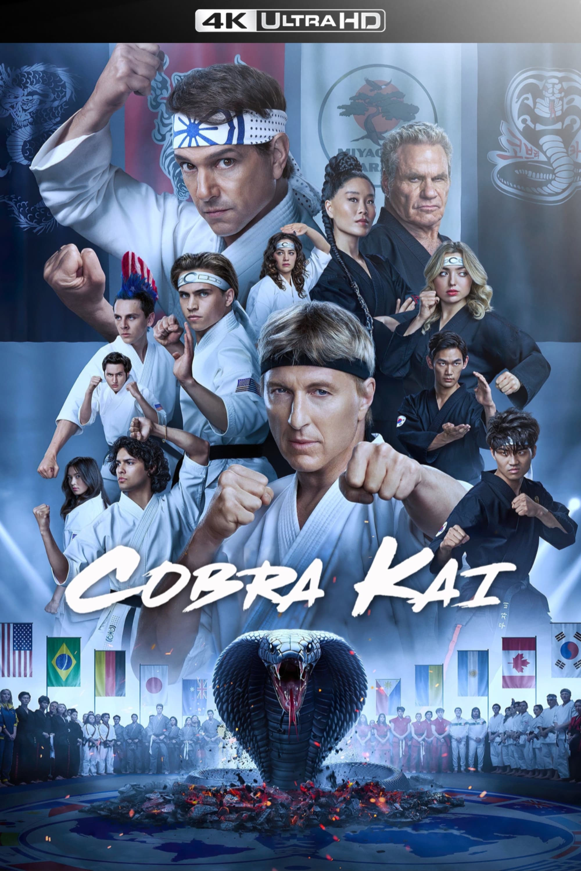 Immagine Poster serie TV 15 Cobra Kai