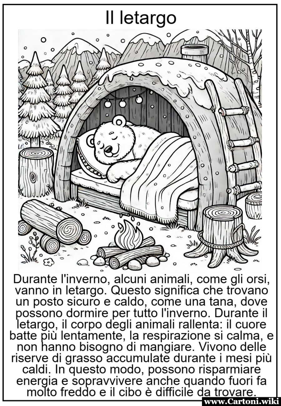 Disegno da colorare di un orso in letargo